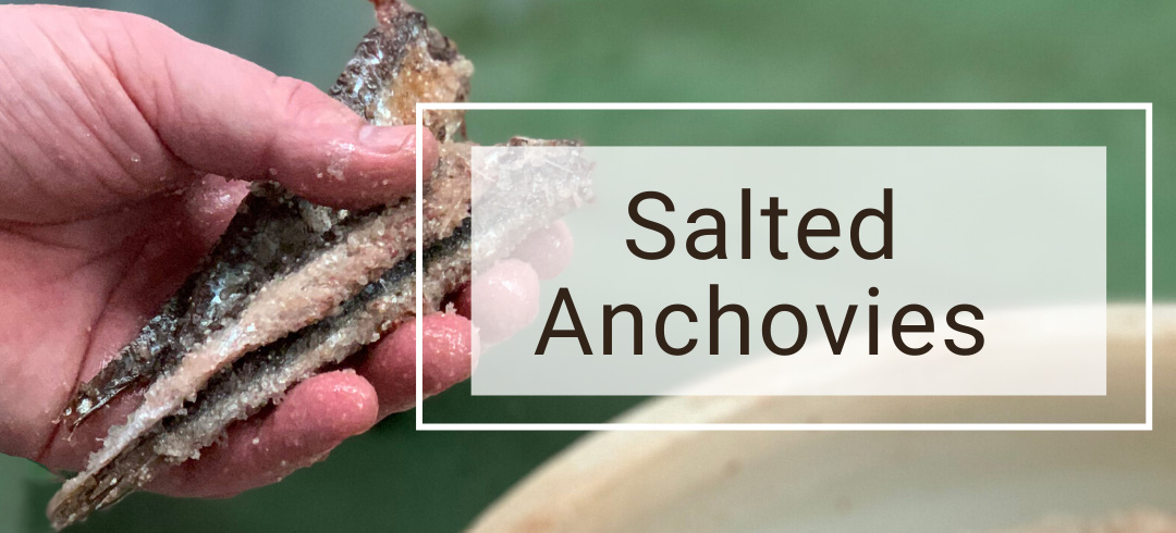 salted-anchovies