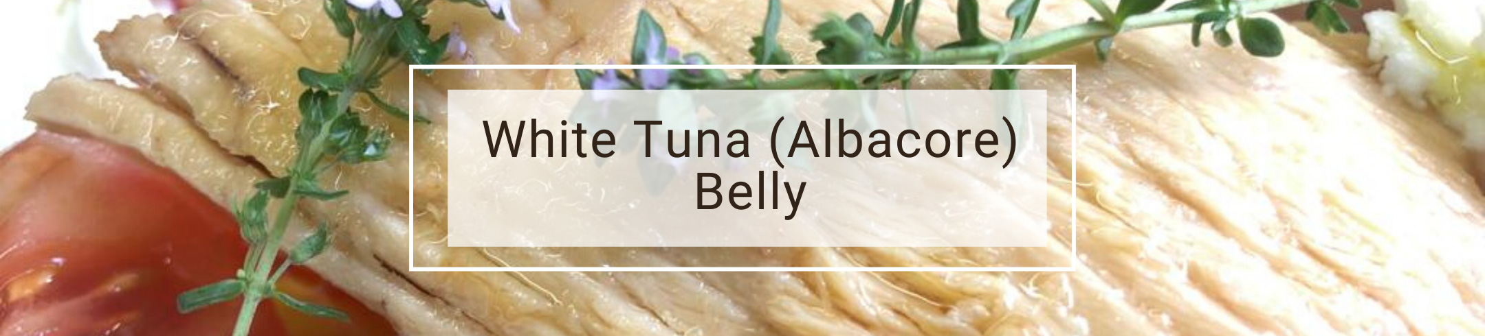 white-tuna-belly