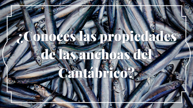¿Conoces las propiedades de las anchoas del cantábrico?