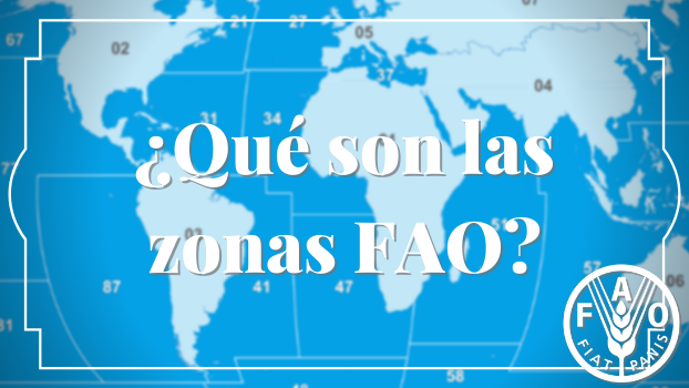 ¿Qué son las zonas FAO?