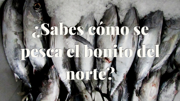 ¿Sabes cómo se pesca el bonito del norte?