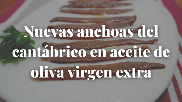 Nuevas anchoas del cantábrico en aceite de oliva virgen extra