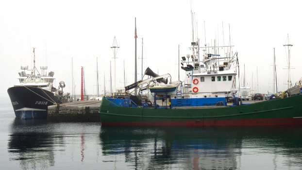 Comienza la campaña de pesca del bonito del norte