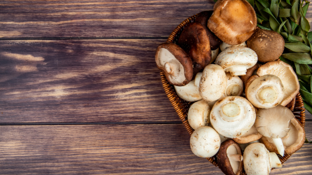 Las setas, alimento del otoño